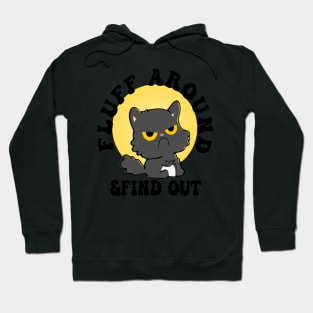 Fluff Around Funny Sarcastic Cat Hoodie